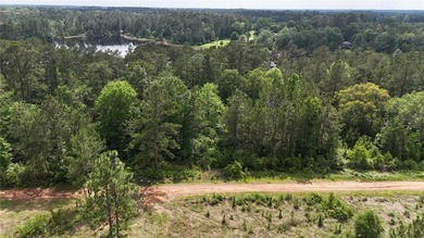 Tucked away on 7.6+ acres of unrestricted, lakefront land on - photo 40