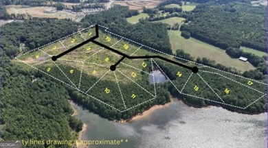 Lake Acreage For Sale in Griffin, Georgia