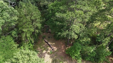 Tucked away on 7.6+ acres of unrestricted, lakefront land on - photo 42