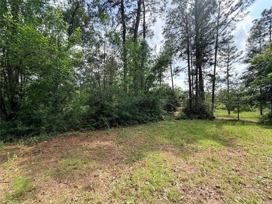 Tucked away on 7.6+ acres of unrestricted, lakefront land on - photo 48
