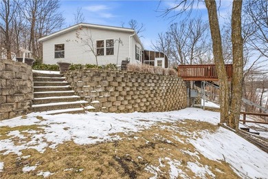 Little Birch Lake Home For Sale in Grey Eagle Minnesota