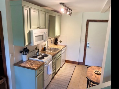 Experience effortless Sun Valley living in this beautifully - photo 4
