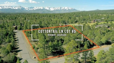 Katya Gorsky, United Country Sneffels Realty, C:,,: 2-Acre - photo 1