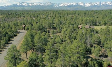 Katya Gorsky, United Country Sneffels Realty, C:,,: 2-Acre - photo 4