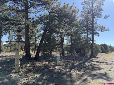 Katya Gorsky, United Country Sneffels Realty, C:,,: 2-Acre - photo 5