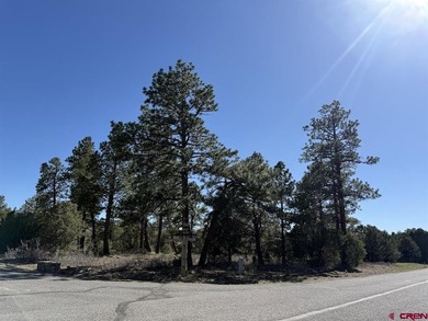 Katya Gorsky, United Country Sneffels Realty, C:,,: 2-Acre - photo 6