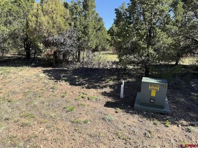 Katya Gorsky, United Country Sneffels Realty, C:,,: 2-Acre - photo 7