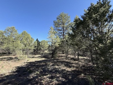 Katya Gorsky, United Country Sneffels Realty, C:,,: 2-Acre - photo 8