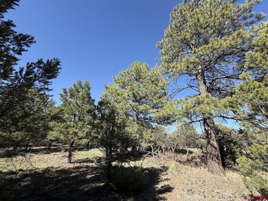 Katya Gorsky, United Country Sneffels Realty, C:,,: 2-Acre - photo 10