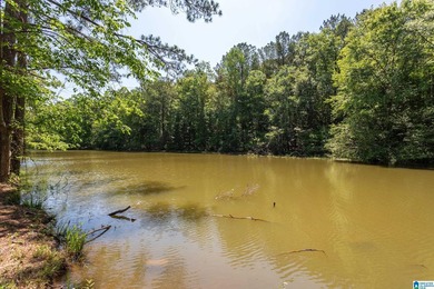 Two lots, 2.76 acres, and 95 feet of water frontage on Lake - photo 29