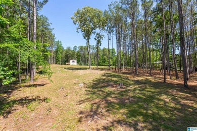 Two lots, 2.76 acres, and 95 feet of water frontage on Lake - photo 30