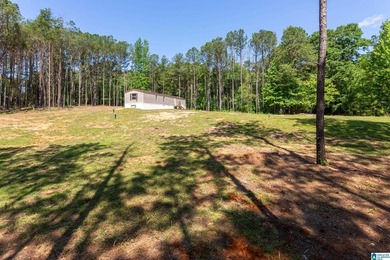 Two lots, 2.76 acres, and 95 feet of water frontage on Lake - photo 33
