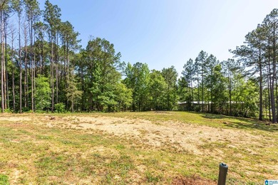 Two lots, 2.76 acres, and 95 feet of water frontage on Lake - photo 34