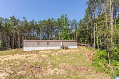 Two lots, 2.76 acres, and 95 feet of water frontage on Lake - photo 36