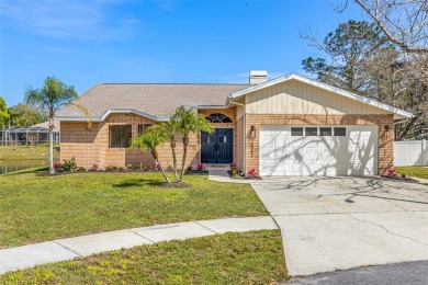 Lake Home For Sale in Tarpon Springs, Florida