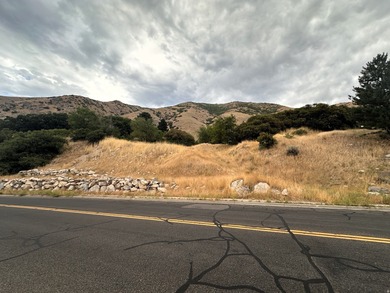 Utah Lake Lot For Sale in Springville Utah