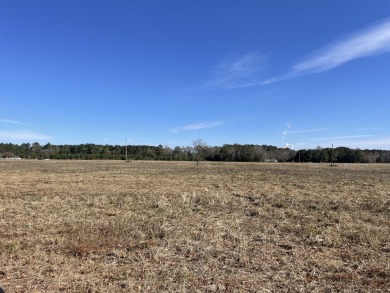 Lake Acreage For Sale in Cross, South Carolina