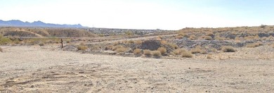 Five Lots available along the Colorado River $1,250,000 each for - photo 4