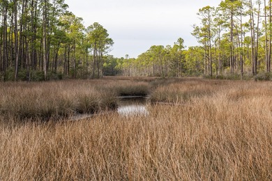 Beautiful waterfront lot, on protected area of Hogtown Bayou - photo 17