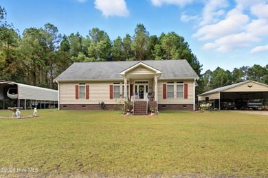 (private lake, pond, coastal) Home For Sale in Currie North Carolina