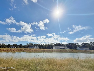 DOUBLE HOMESITE ON THE LAKE. Ready to roll, flat and cleared - photo 5