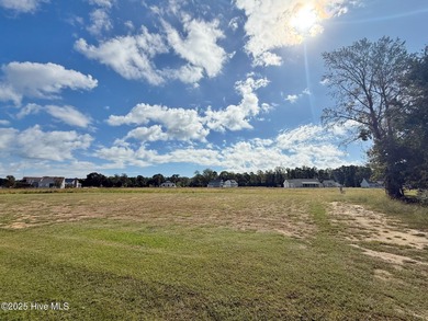 DOUBLE HOMESITE ON THE LAKE. Ready to roll, flat and cleared - photo 7