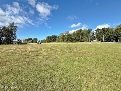DOUBLE HOMESITE ON THE LAKE. Ready to roll, flat and cleared - photo 8