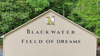 Welcome to Blackwater Field of Dreams-a private eight-acre - photo 2