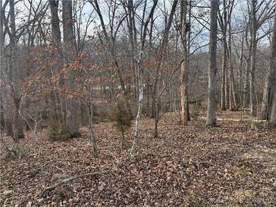 Lake View Lot in Four Seasons! Build your dream home in one of - photo 11