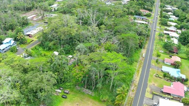 $29,000 lot in Hawaiian Shores subdivision with seller financing - photo 15