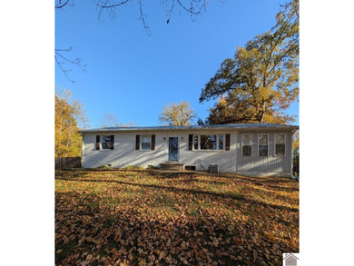 (private lake, pond, creek) Home For Sale in Princeton Kentucky