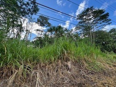 $29,000 lot in Hawaiian Shores subdivision with seller financing - photo 25