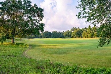 The Cove plan in the Powell Landing East neighborhood of - photo 29