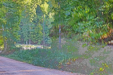 Lake Lot For Sale in Mount Ida, Arkansas