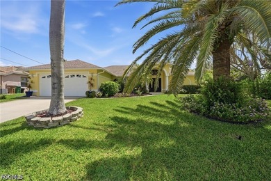 Fantastic opportunity in a highly desirable SW Cape Coral - photo 44