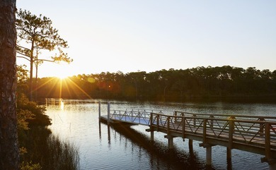 The Cove plan in the Powell Landing East neighborhood of - photo 45