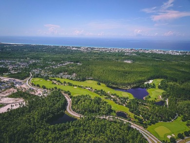 The Cove plan in the Powell Landing East neighborhood of - photo 48
