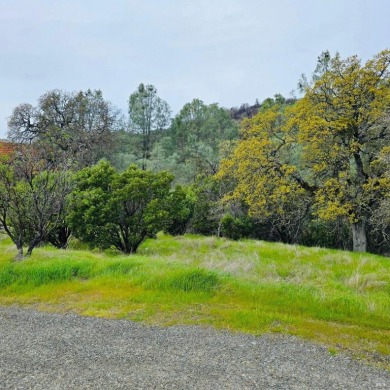Lake Lot For Sale in Clearlake Oaks, California