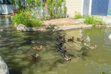 Well maintained Pine creek complex in a gated community - photo 3