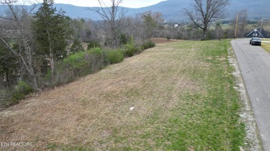 Beautiful 1.73-acre lot at the lake with 420 FEET OF - photo 10