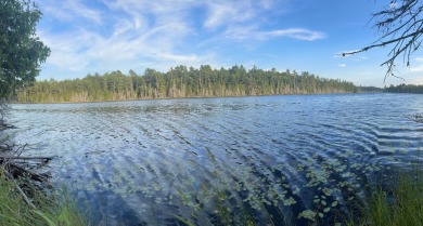 Lake Lot For Sale in Great Pond, Maine