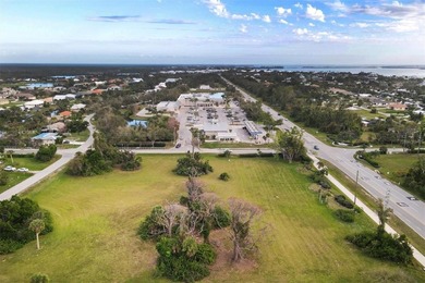 PRICE IMPROVEMENT! Triple prime commercial parcel in the heart - photo 9
