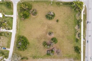 PRICE IMPROVEMENT! Triple prime commercial parcel in the heart - photo 10