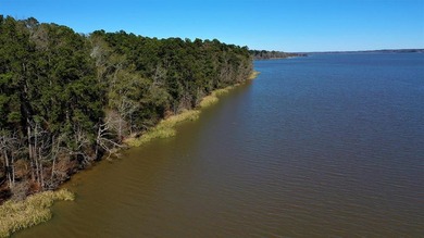 This exceptional Eufaula property is a paradise waiting to be - photo 11
