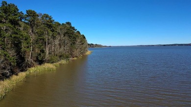 This exceptional Eufaula property is a paradise waiting to be - photo 12