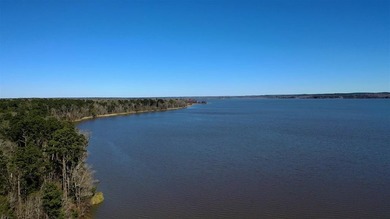 This exceptional Eufaula property is a paradise waiting to be - photo 13