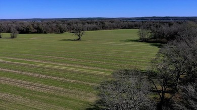 This exceptional Eufaula property is a paradise waiting to be - photo 15