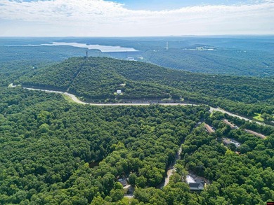 This is a fantastic opportunity, featuring 20 wooded lots - photo 5