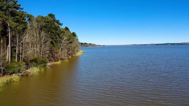 This exceptional Eufaula property is a paradise waiting to be - photo 17