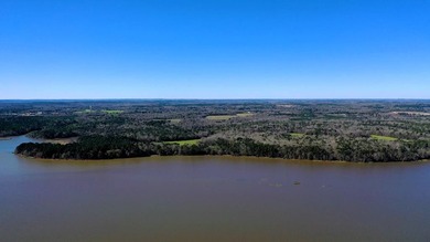 This exceptional Eufaula property is a paradise waiting to be - photo 19